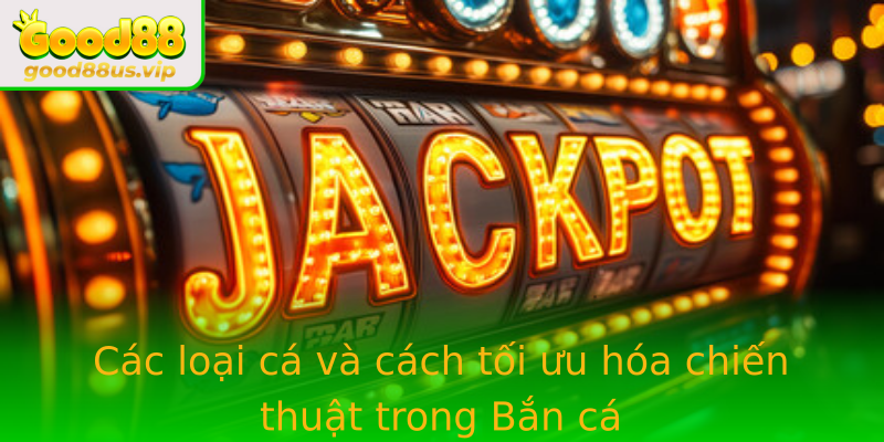 Cac Loai Ca Va Cach Toi Uu Hoa Chien Thuat Trong Strongban Castrong