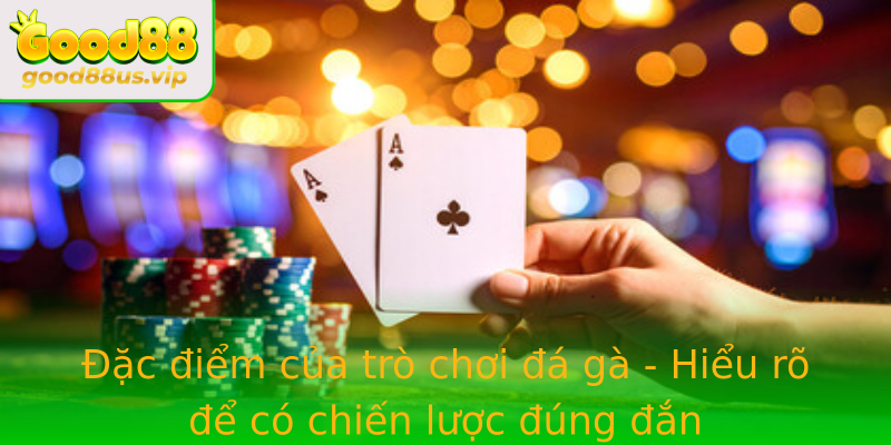 Đặc điểm của trò chơi đá gà - Hiểu rõ để có chiến lược đúng đắn