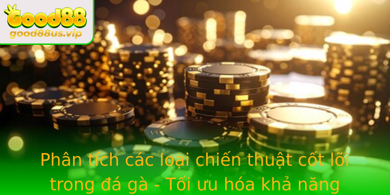 Phân tích các loại chiến thuật cốt lõi trong đá gà - Tối ưu hóa khả năng chiến thắng