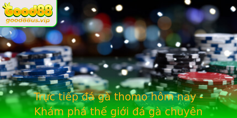 Trực tiếp đá gà thomo hôm nay - Khám phá thế giới đá gà chuyên nghiệp qua từng trận đấu